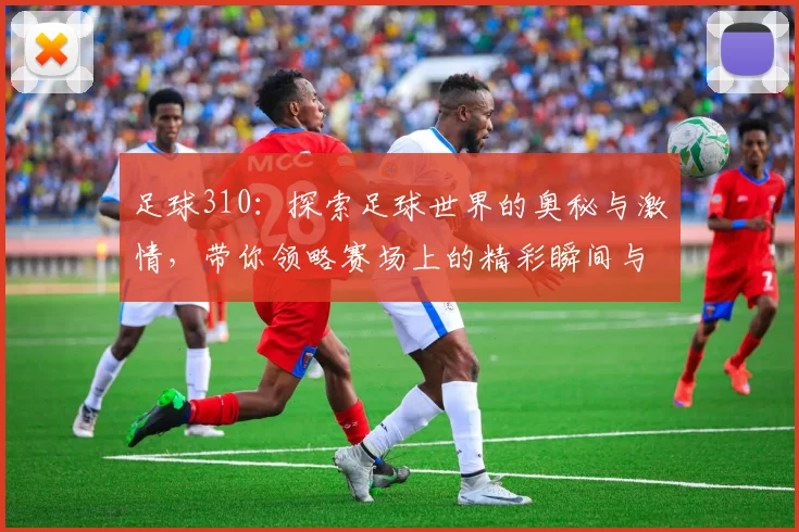 足球310：探索足球世界的奥秘与激情，带你领略赛场上的精彩瞬间与战术智慧